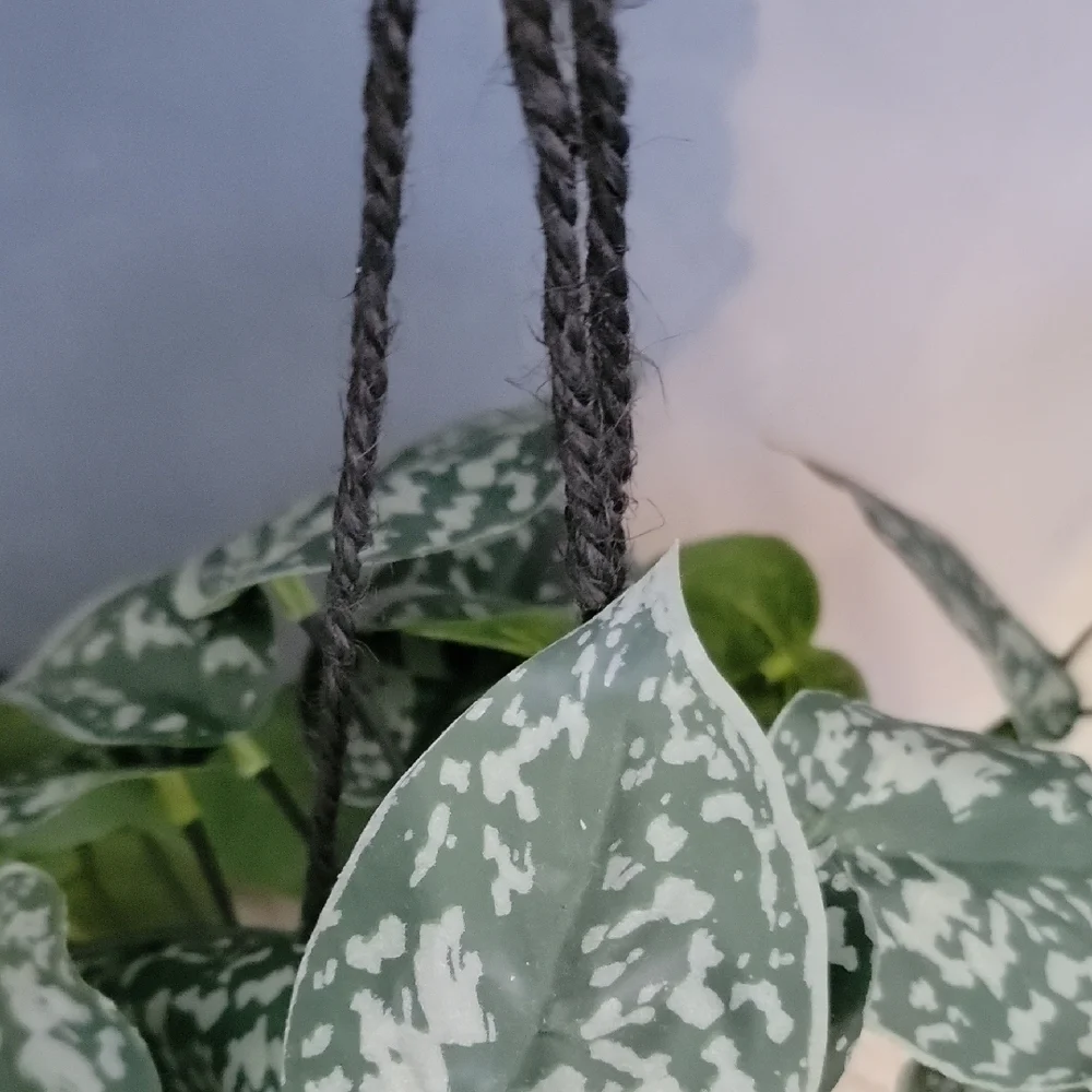 New 2 Ashland Halloween Black and Cream Skull Planters